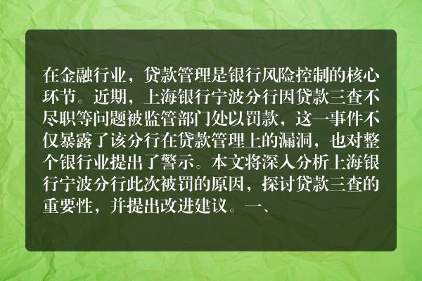 上海银行宁波分行贷款管理漏洞三查不尽职的警示与反思