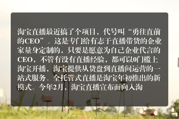 从董事会到直播间，淘宝直播会是新的乐土吗