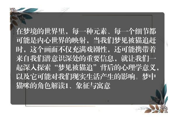 梦见被猫追，解码潜意识里的秘密信号