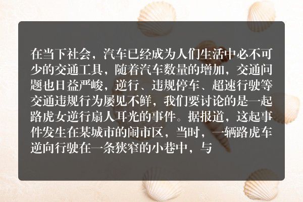路虎女逆行扇人耳光