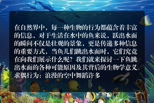 当鱼跃出水面，它们究竟在告诉我们什么？