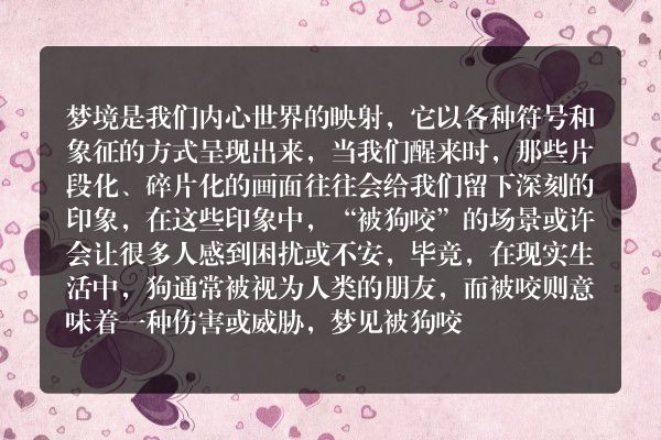 梦见被狗咬了，这究竟是吉兆还是凶兆？——解读梦中狗咬背后的心理与现实意义